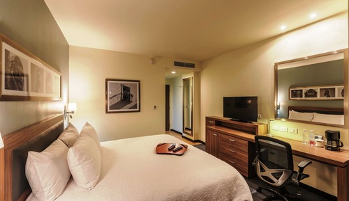 Room, 1 King Bed, Accessible, Non Smoking (Roll In Shower)
