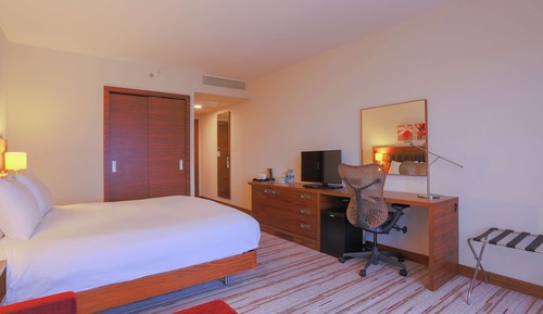 Room, 1 King Bed