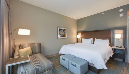 Room, 1 King Bed, Non Smoking, Refrigerator & Microwave