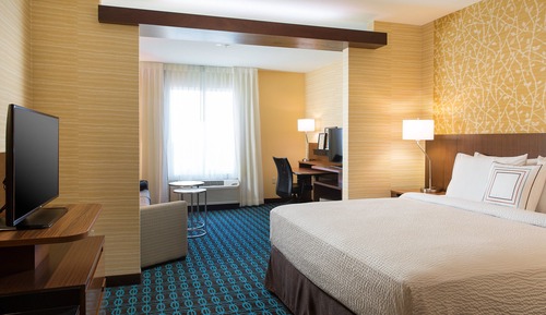 Suite, 1 King Bed with Sofa bed