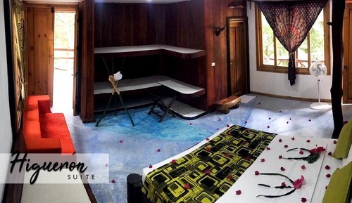 Suite (Double Room )