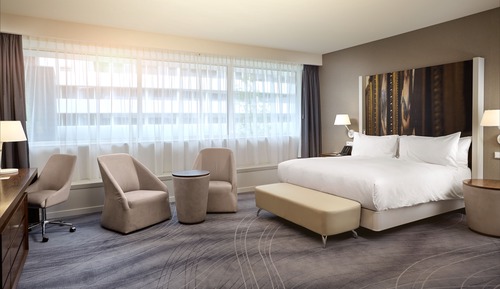 Accessible Room, 1 King Bed