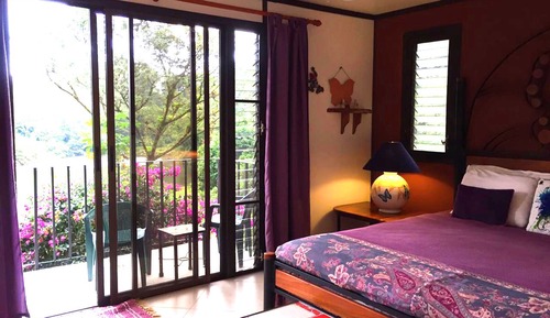 Room, 1 King Bed, Balcony, Lake View (Butterfly Room)