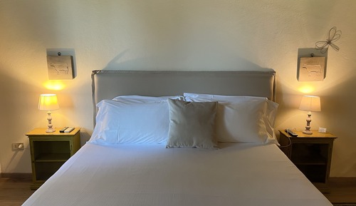 Classic Double or Twin Room