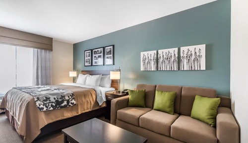 Suite, 1 King Bed, Accessible, Non Smoking
