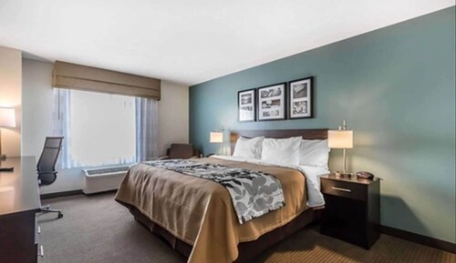 Room, 1 King Bed, Accessible, Non Smoking