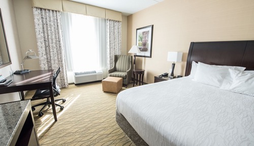 Room, 1 King Bed
