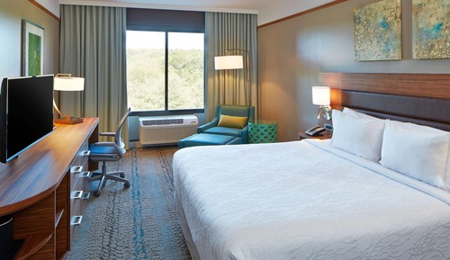 Room, 1 King Bed, Accessible, Non Smoking (Roll-in Shower)