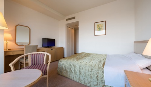 Deluxe Single Room, 1 Double Bed, Non Smoking