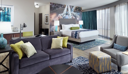 Suite, 1 King Bed with Sofa bed