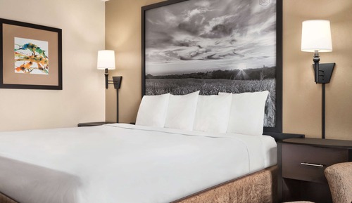 Room, 1 Queen Bed, Non Smoking