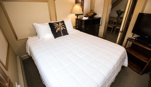 Penthouse, 1 Queen Bed with Sofa bed, Private Bathroom (Penthouse Suite)