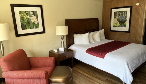 Room, 1 King Bed, Smoking