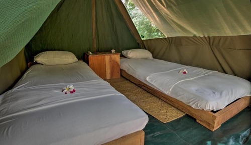 Economy Tent, Shared Bathroom
