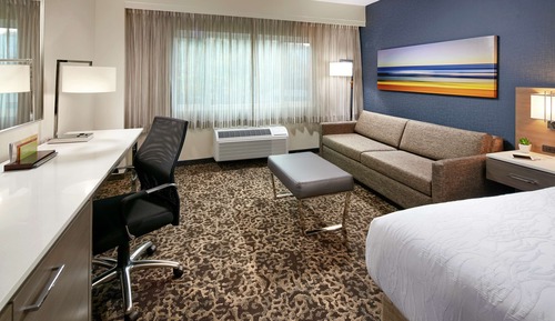 Room, 1 King Bed with Sofa bed