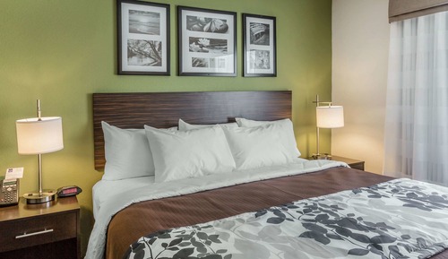 Suite, 1 King Bed with Sofa bed, Non Smoking