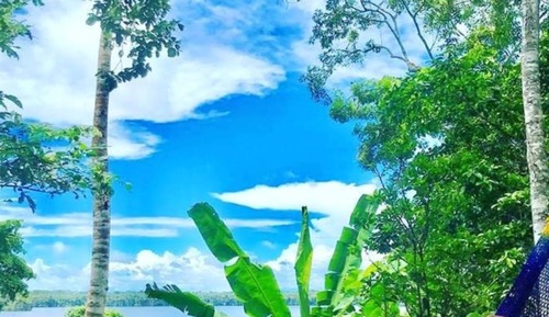 Deluxe Cabin, 1 Bedroom, River View, Beachfront