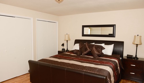 Basic Suite, 1 King Bed, Kitchen