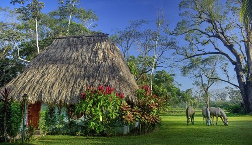Traditional Cabin, 2 Bedrooms, Non Smoking, Garden View