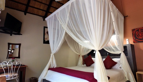 Standard Room, Accessible (No. 1)