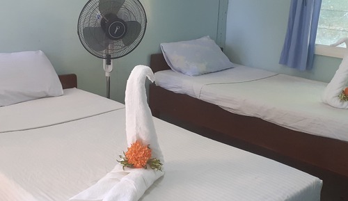 Budget Twin Room (Ground Floor)