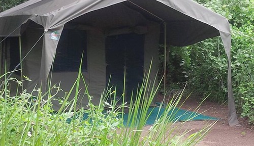 Tent