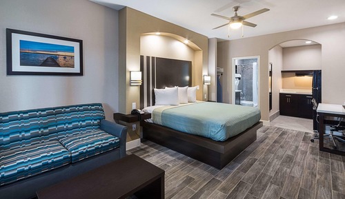 Suite, 1 King Bed, Accessible, Non Smoking (Efficiency)