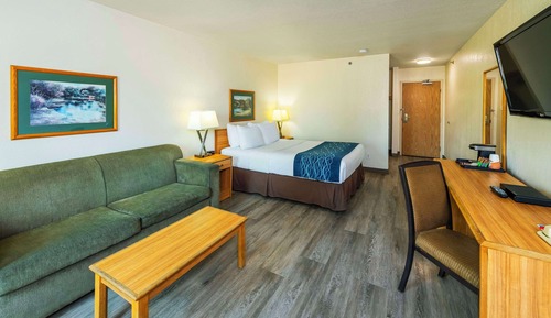 Suite, 1 Queen Bed with Sofa bed, Non Smoking