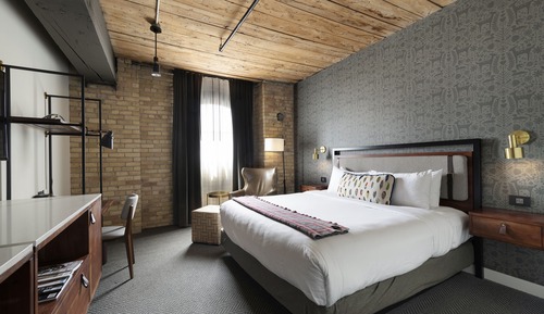 Room, 1 King Bed