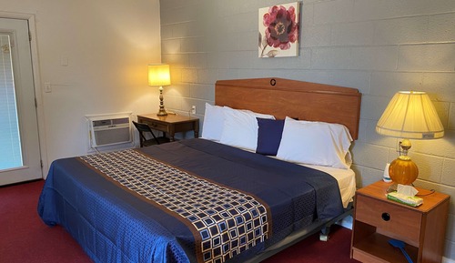Room, 1 King Bed