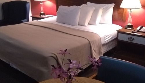 Standard Room, 1 King Bed
