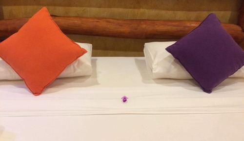 Double & Triple Standard Suites Rooms