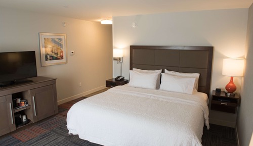 Room, 1 King Bed, Accessible, Non Smoking (w/ roll-in shower)