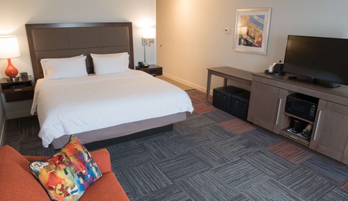 Room, 1 King Bed with Sofa bed, Non Smoking