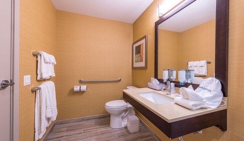 Standard Room, 1 King Bed, Accessible, Bathtub