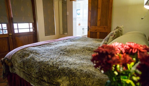 Comfort Studio, 1 Bedroom (Porcupine)