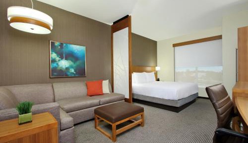 King Room with Sofa Bed