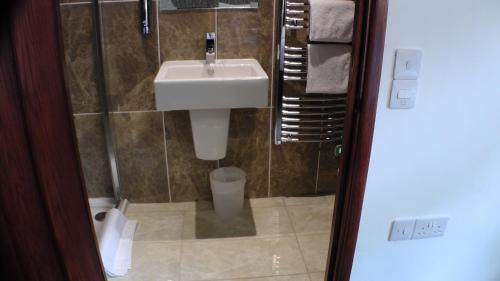 Deluxe Double Room with Shower - The Dickens