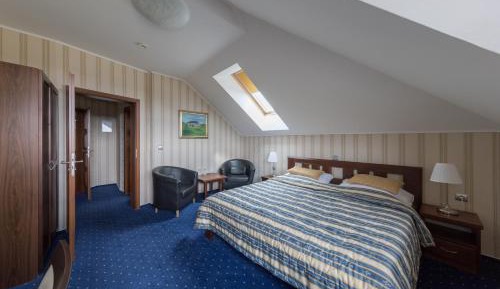Deluxe Double or Twin Room