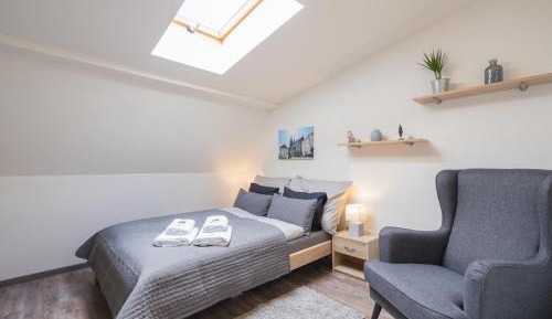 Large Apartment with Sauna