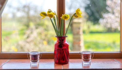 Superior Twin Room with Garden View
