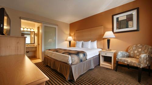 King Room with Courtyard View