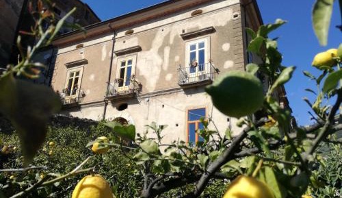 Premium Quadruple Room