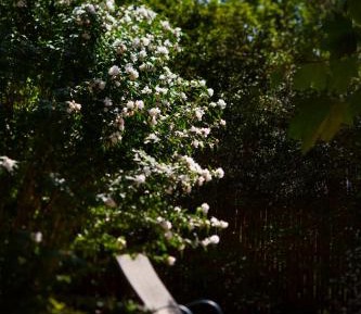 Deluxe Queen Room with Fireplace - Carriage (Whirlwind)