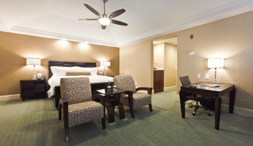 Deluxe King Suite