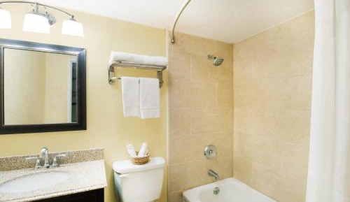 Executive Double Suite