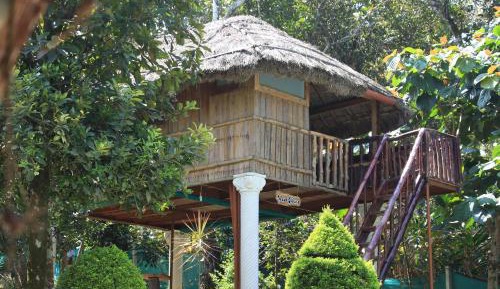 Superior Villa - Wood House