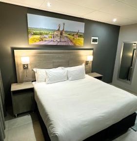 Deluxe Double or Twin Room with City View