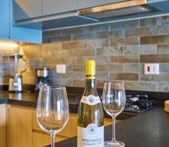 Deluxe One-Bedroom Apartment