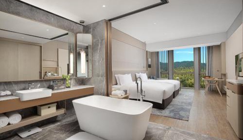 Deluxe Twin Room with Mountain View